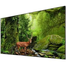 Hisense LTS120AFA 120″ ALR Display Screen for 120L10E 4K UHD Smart Laser TV Projector