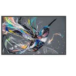 75BDL3650Q/00 75 Inch 4K Prosumer Display 400 Nits