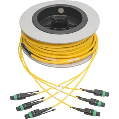 Tripp Lite by Eaton N392-30M-3X8-AP MTP/MPO (apc) Singlemode Slim Trunk Cable, 24-Strand, 40/100 GbE