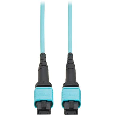 100G Multimode 50/125 OM4 Fiber Optic Cable - 6.6 ft