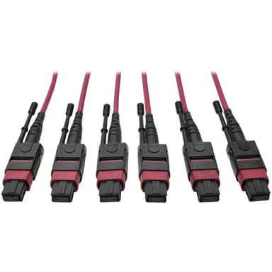 MTP/MPO Multimode Base-8 Trunk Cable, 24-Strand, 40GB/100GB